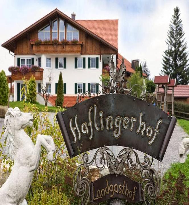 Haflinger Hof
